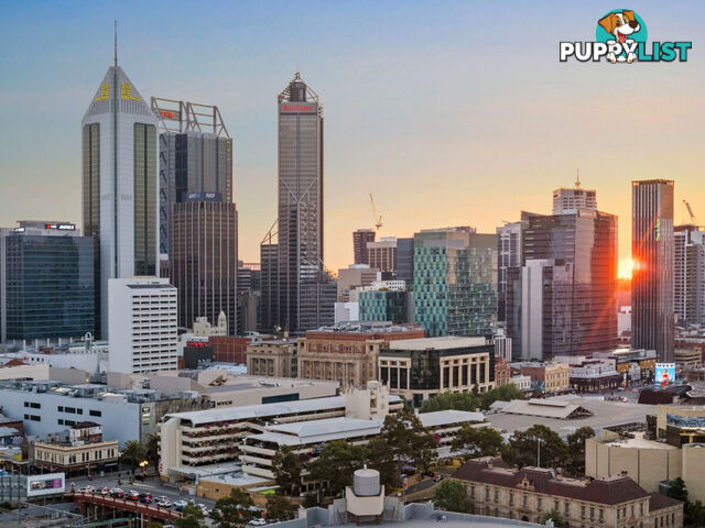 1908/78 Stirling  Street PERTH WA 6000