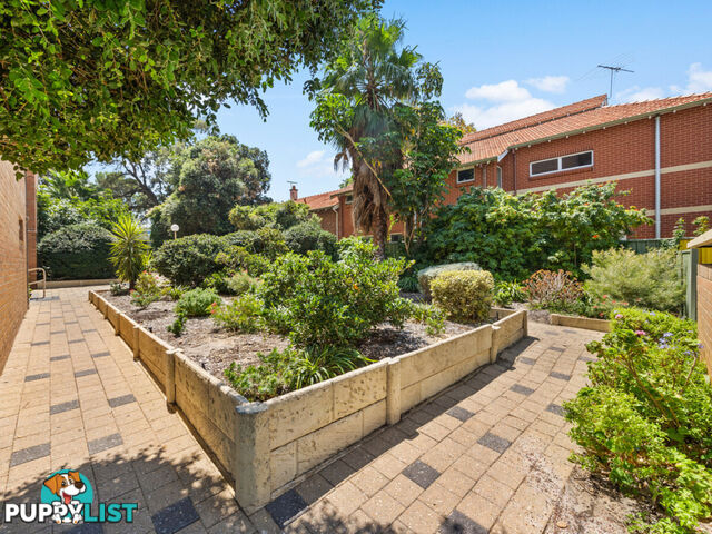 33/227 Vincent Street WEST PERTH WA 6005