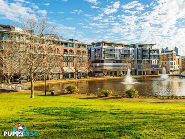 27/121 Hill Street EAST PERTH WA 6004