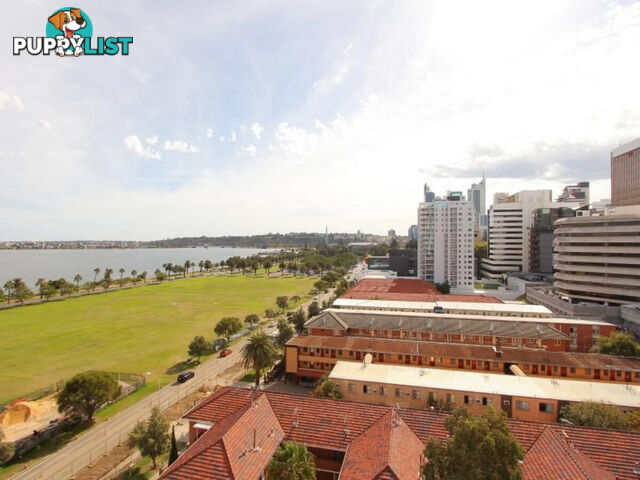 801/108 Terrace Road EAST PERTH WA 6004
