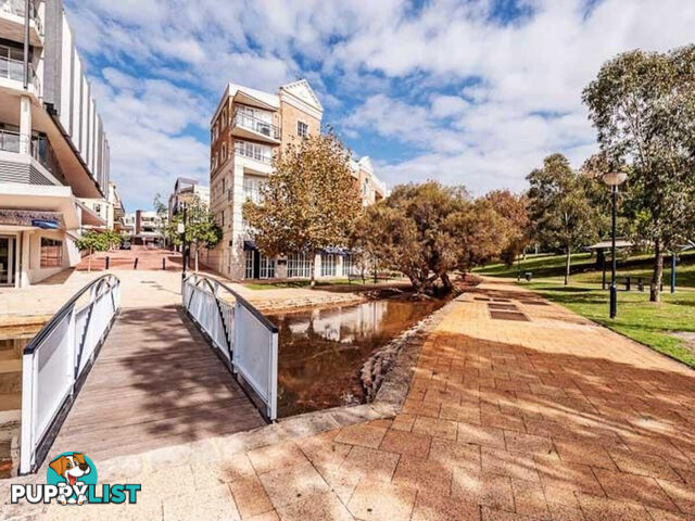 6/32 Eastbrook Terrace EAST PERTH WA 6004