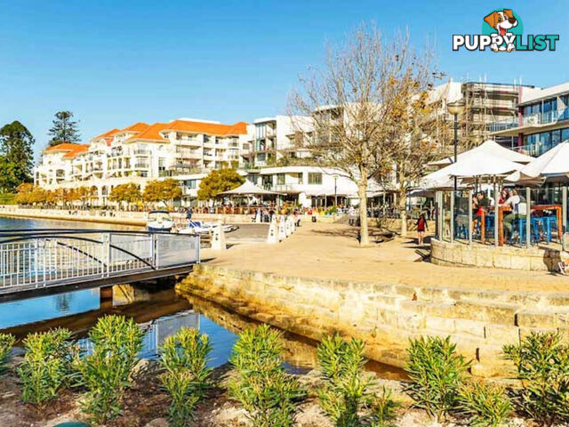 6/32 Eastbrook Terrace EAST PERTH WA 6004