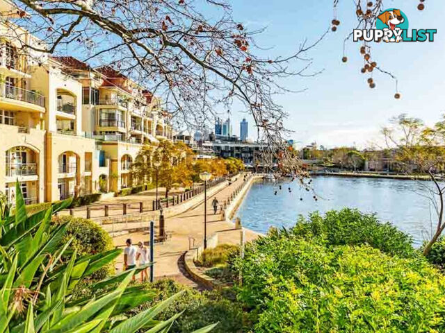 6/32 Eastbrook Terrace EAST PERTH WA 6004