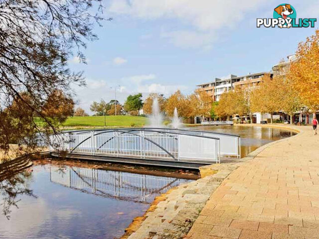 6/32 Eastbrook Terrace EAST PERTH WA 6004
