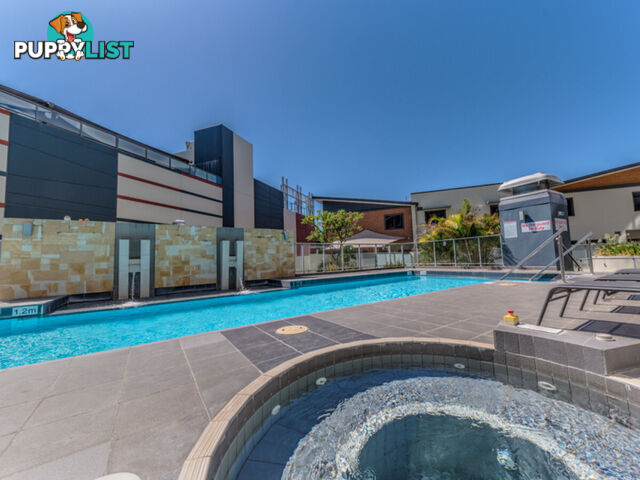 13/8 Hordern Street VICTORIA PARK WA 6100
