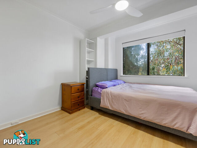 81/309 Harborne Street GLENDALOUGH WA 6016
