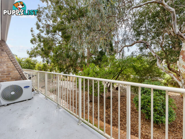81/309 Harborne Street GLENDALOUGH WA 6016