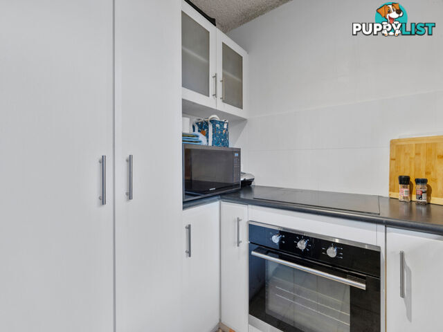 81/309 Harborne Street GLENDALOUGH WA 6016