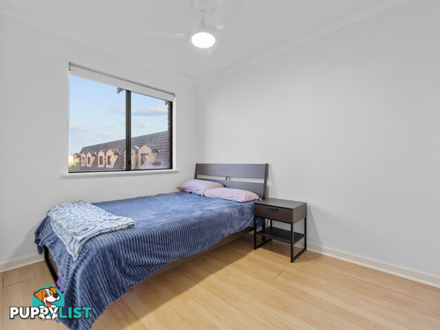 81/309 Harborne Street GLENDALOUGH WA 6016