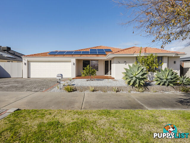 36 Marchwood Boulevard BUTLER WA 6036