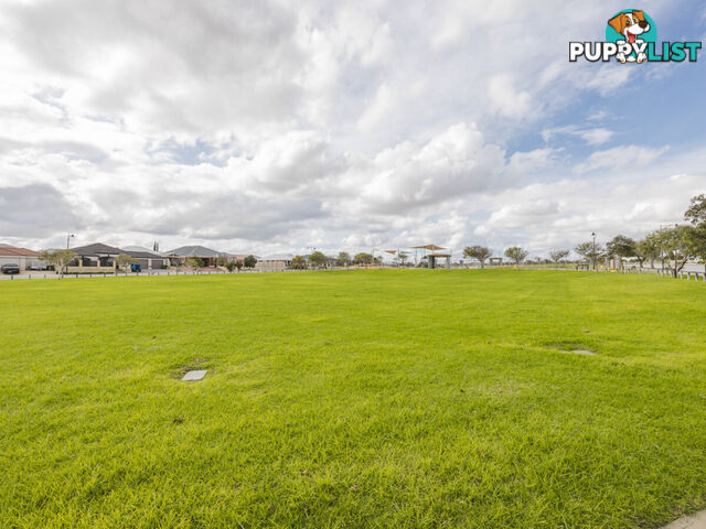 65B Hinchinbrook Avenue RIDGEWOOD WA 6030