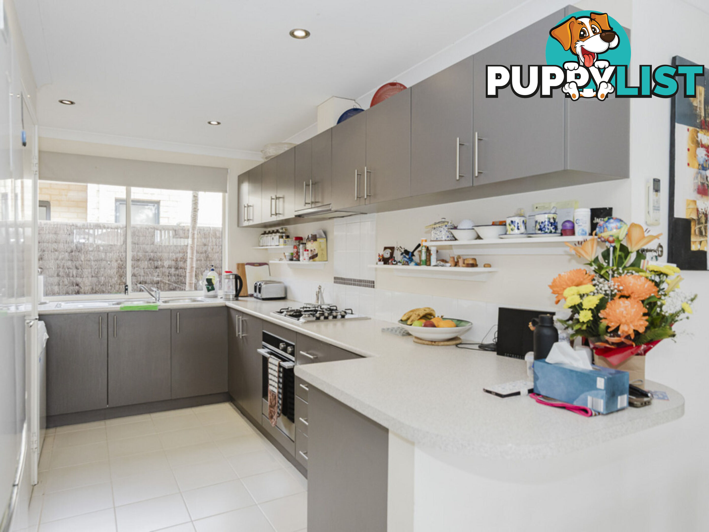 65B Hinchinbrook Avenue RIDGEWOOD WA 6030