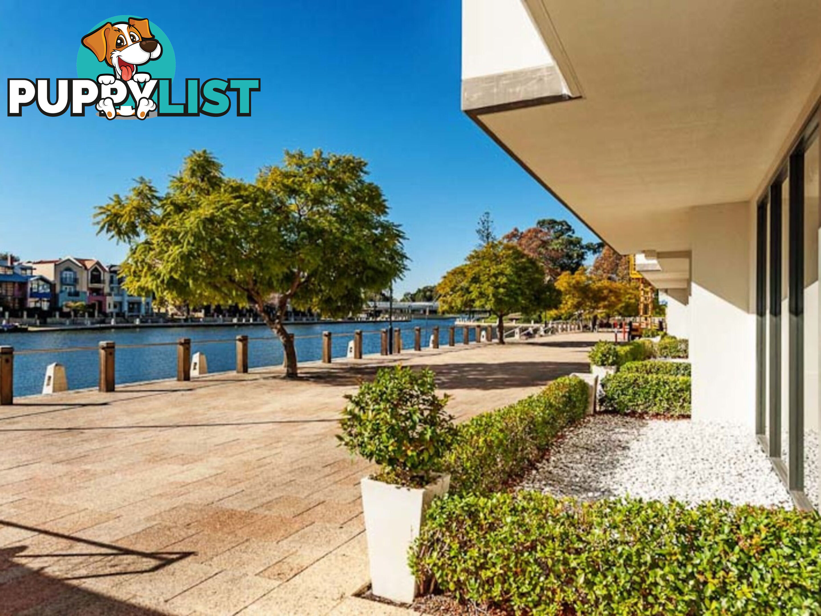 1/50 Royal Street EAST PERTH WA 6004