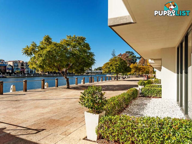 1/50 Royal Street EAST PERTH WA 6004