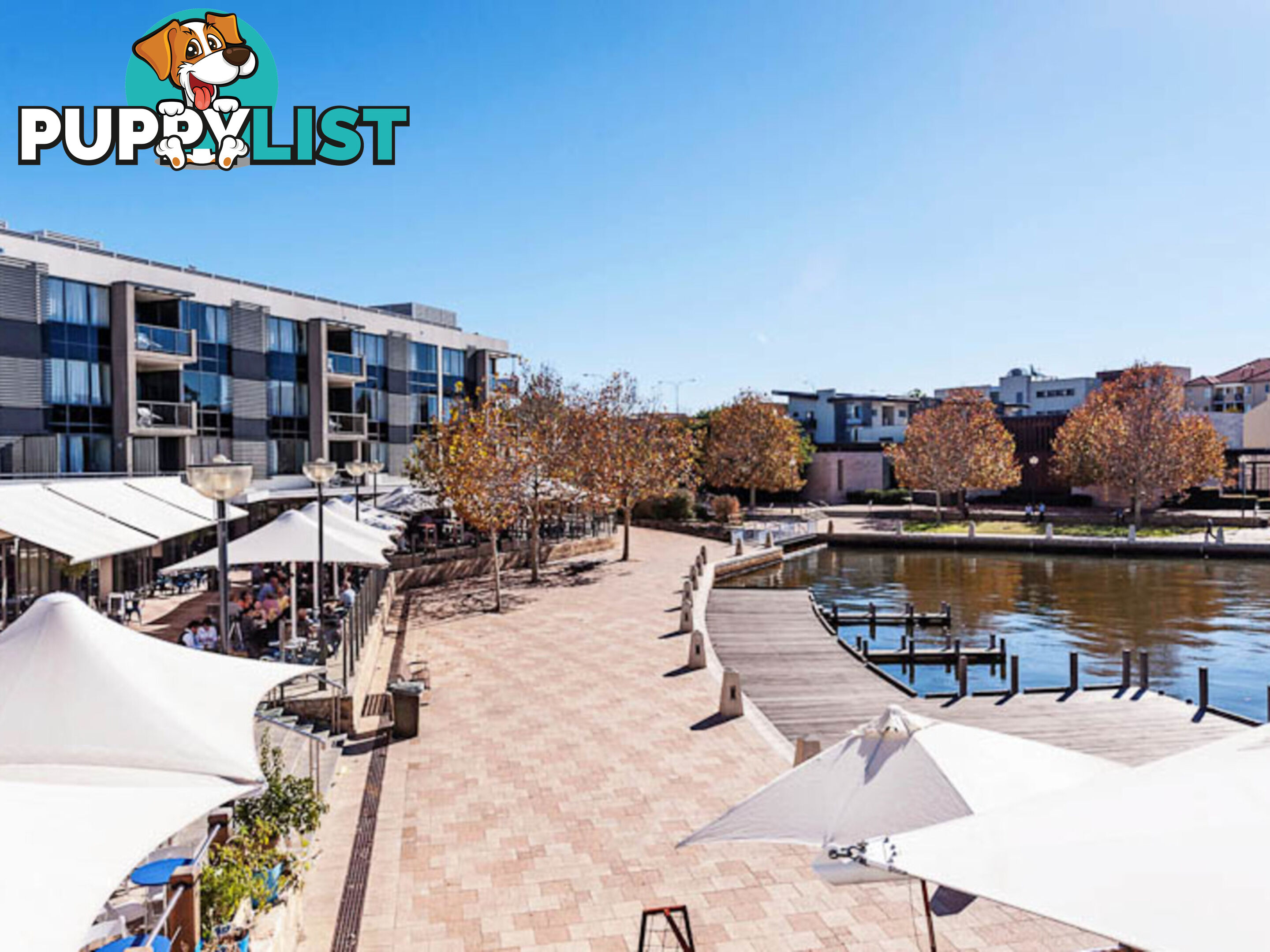 1/50 Royal Street EAST PERTH WA 6004