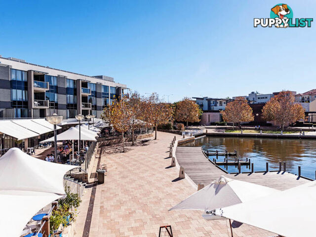 1/50 Royal Street EAST PERTH WA 6004