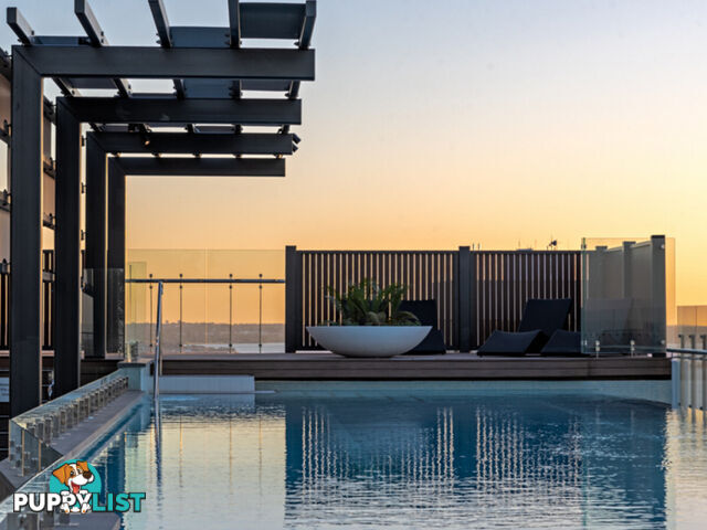 612/380 Murray Street PERTH WA 6000
