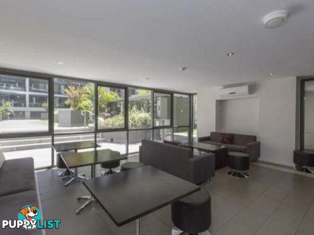 52/143 Adelaide Terrace EAST PERTH WA 6004