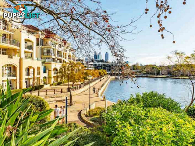 9/55 Wellington Street EAST PERTH WA 6004