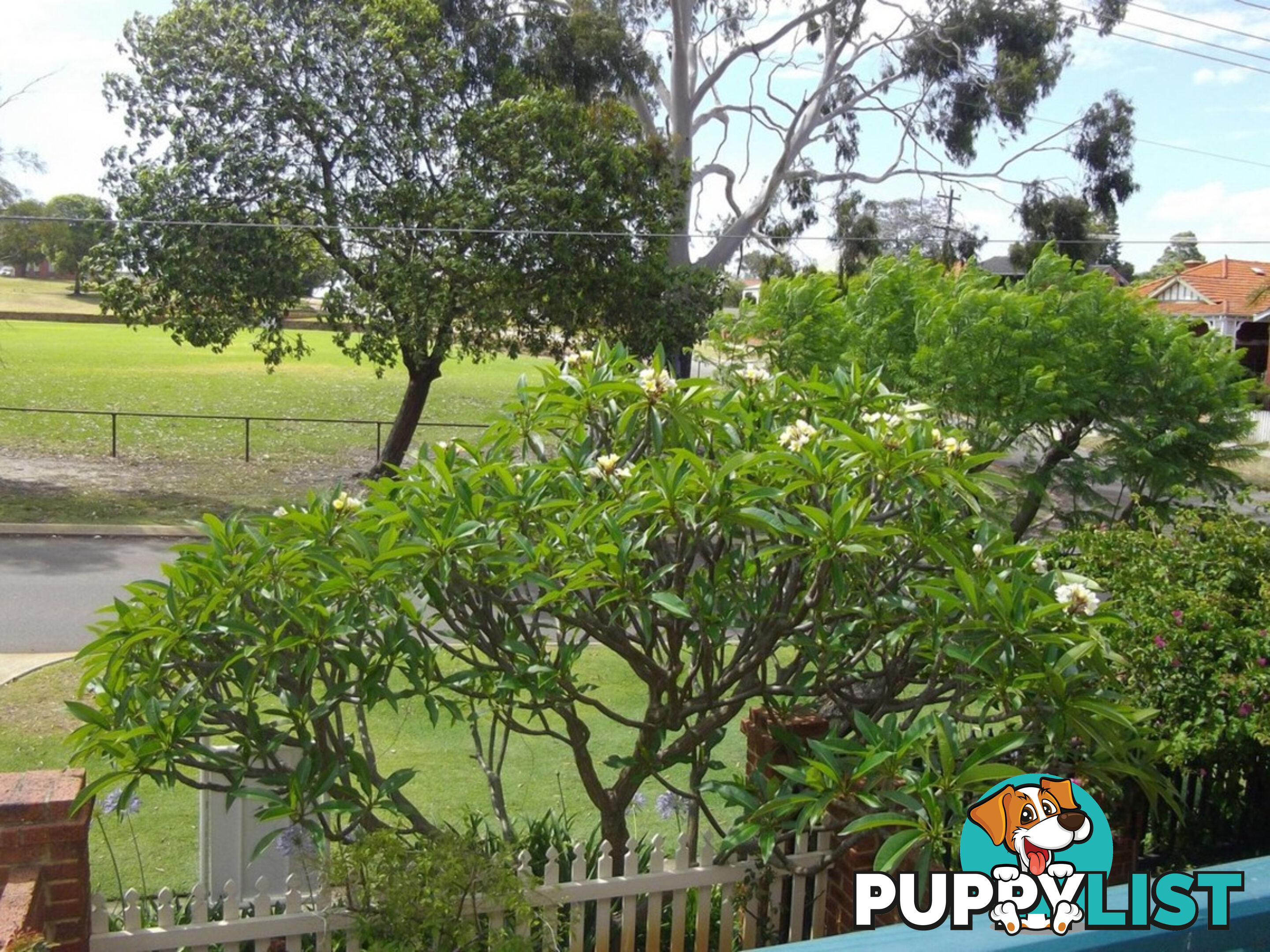 50 Coode Street MAYLANDS WA 6051