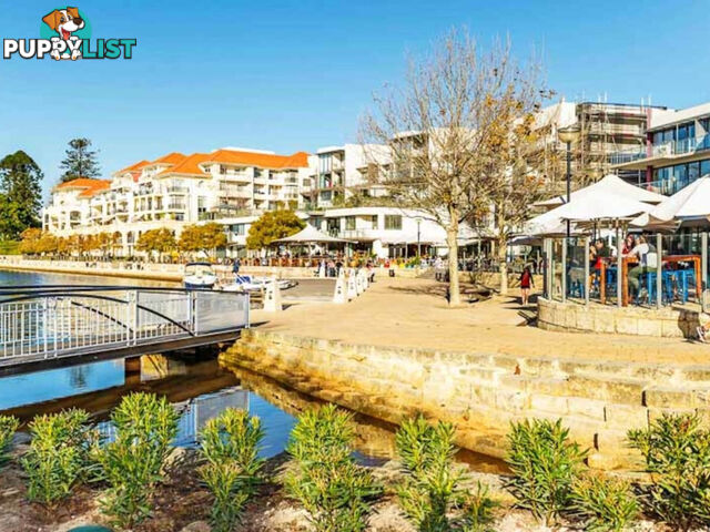 8/11 Regal Place EAST PERTH WA 6004