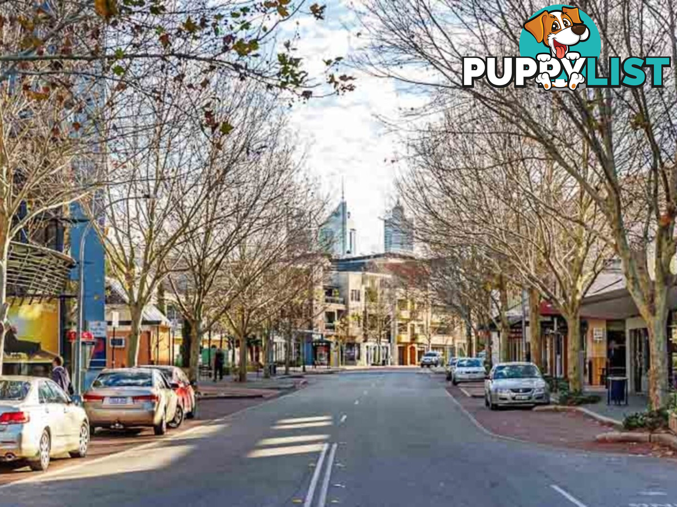 8/11 Regal Place EAST PERTH WA 6004