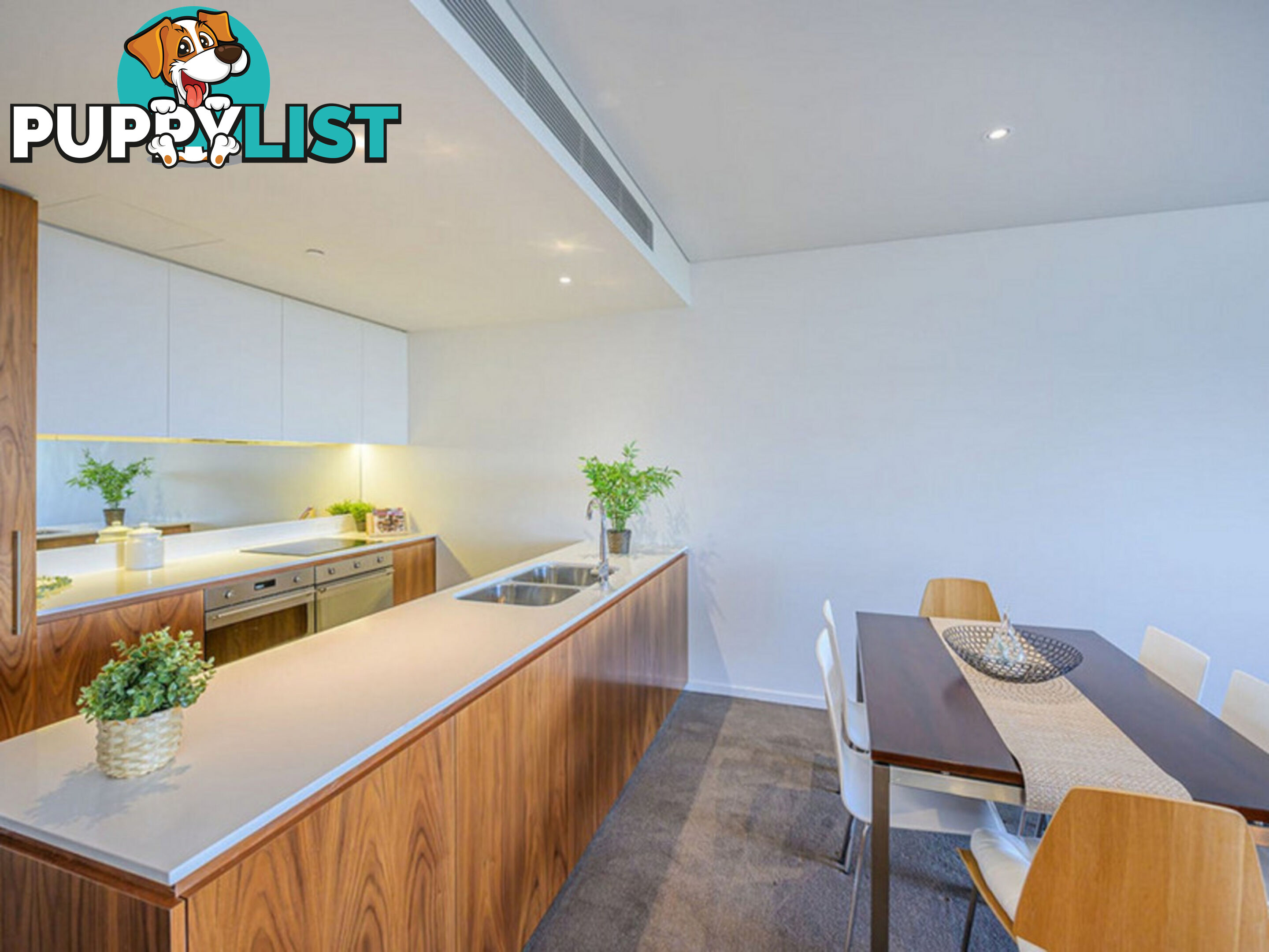 311/8 Adelaide Terrace EAST PERTH WA 6004