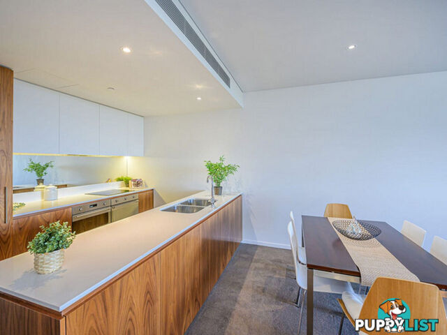 311/8 Adelaide Terrace EAST PERTH WA 6004