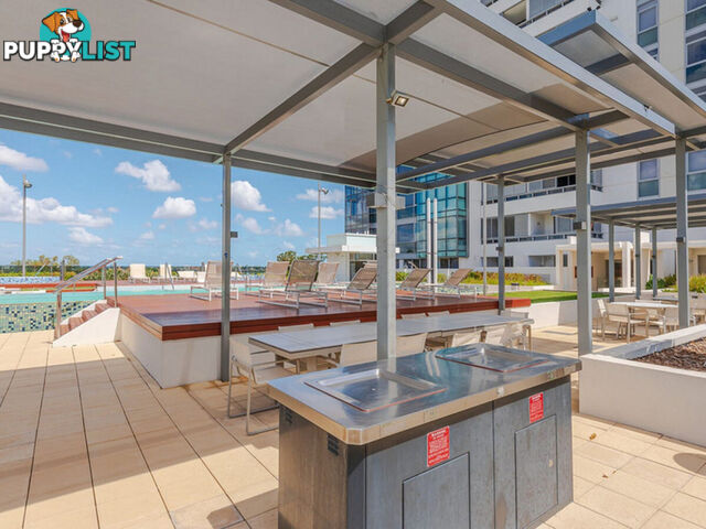 311/8 Adelaide Terrace EAST PERTH WA 6004