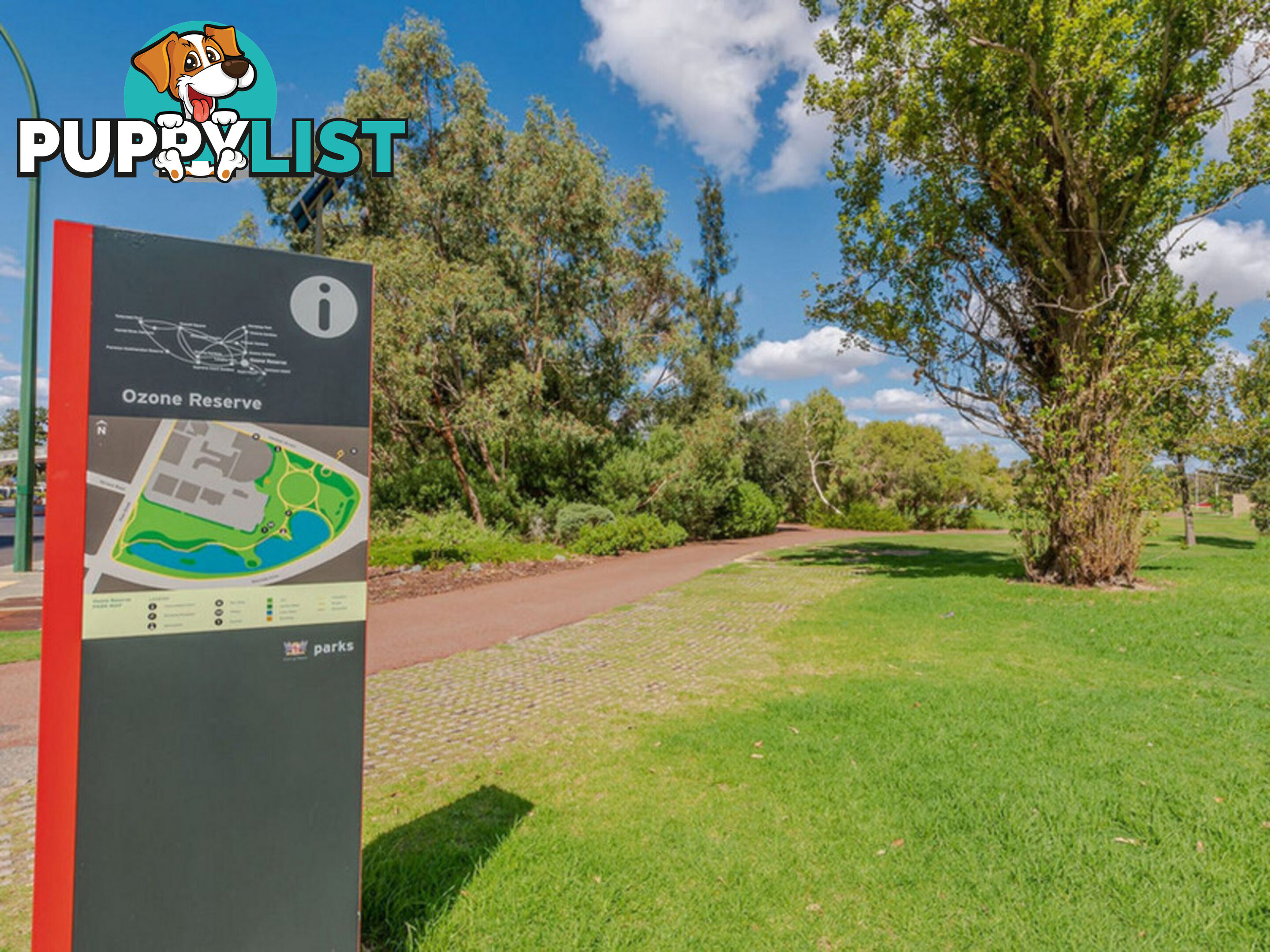 311/8 Adelaide Terrace EAST PERTH WA 6004