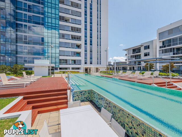 311/8 Adelaide Terrace EAST PERTH WA 6004