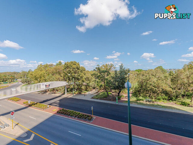 311/8 Adelaide Terrace EAST PERTH WA 6004