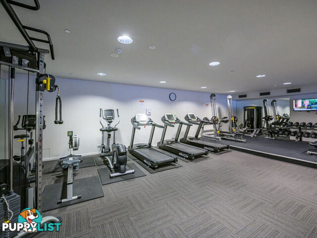 311/8 Adelaide Terrace EAST PERTH WA 6004