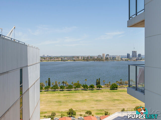 1303/237 Adelaide Terrace PERTH WA 6000