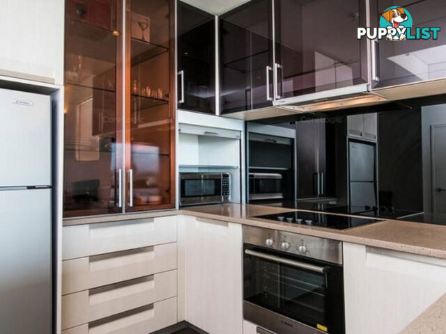 41/229 Adelaide Terrace PERTH WA 6000