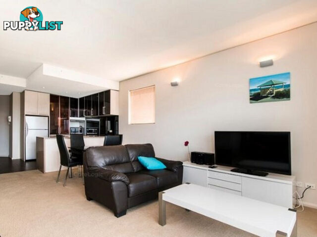 41/229 Adelaide Terrace PERTH WA 6000