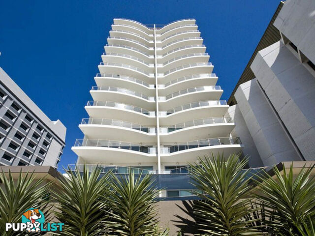 41/229 Adelaide Terrace PERTH WA 6000