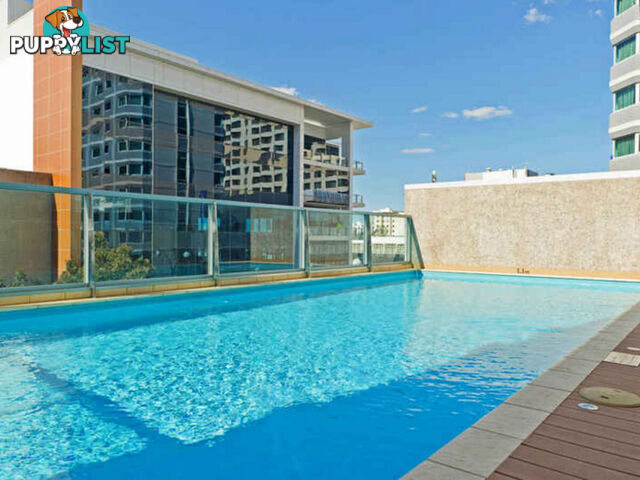 41/229 Adelaide Terrace PERTH WA 6000