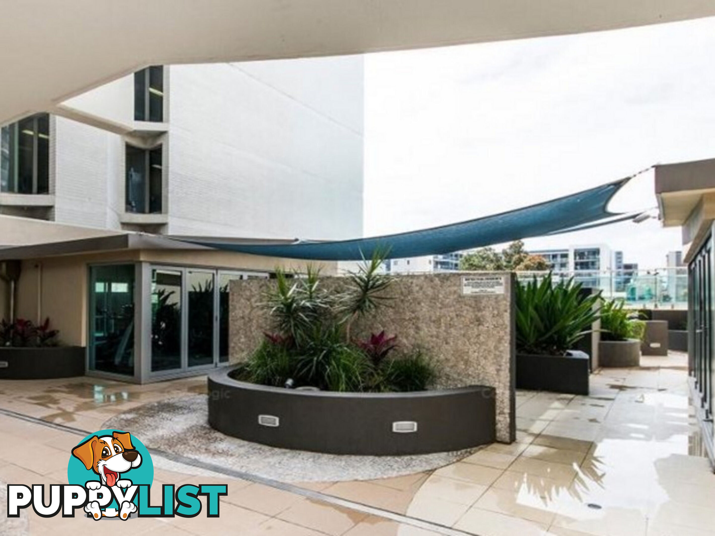 41/229 Adelaide Terrace PERTH WA 6000