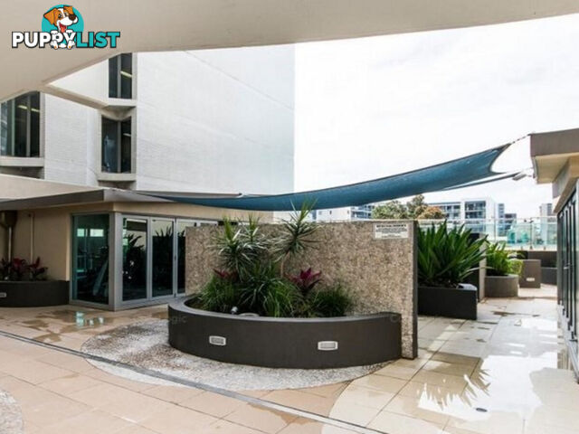 41/229 Adelaide Terrace PERTH WA 6000