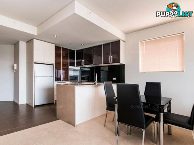 41/229 Adelaide Terrace PERTH WA 6000