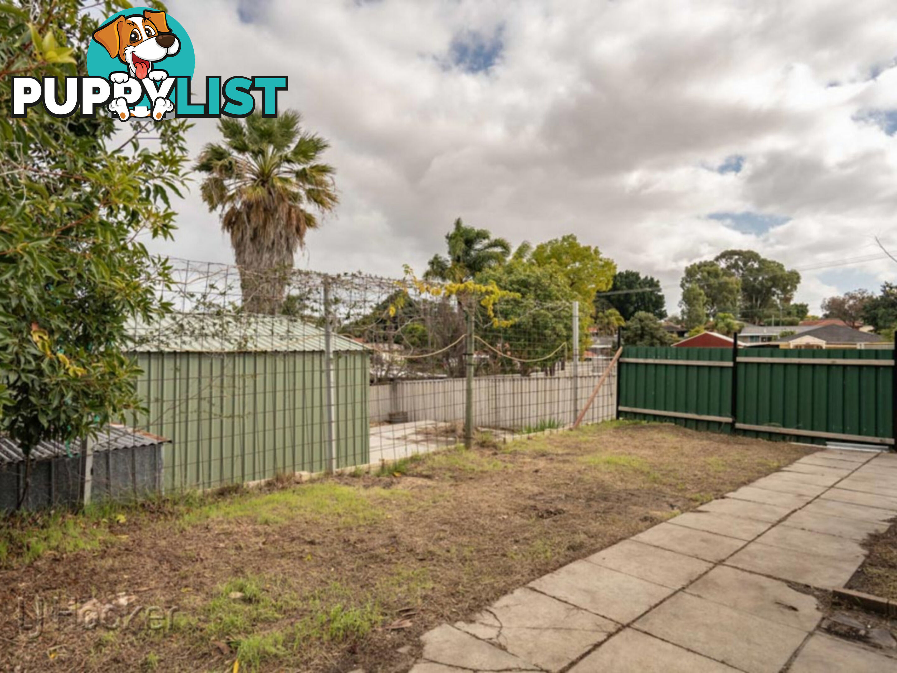 67 Gabell Way KOONDOOLA WA 6064