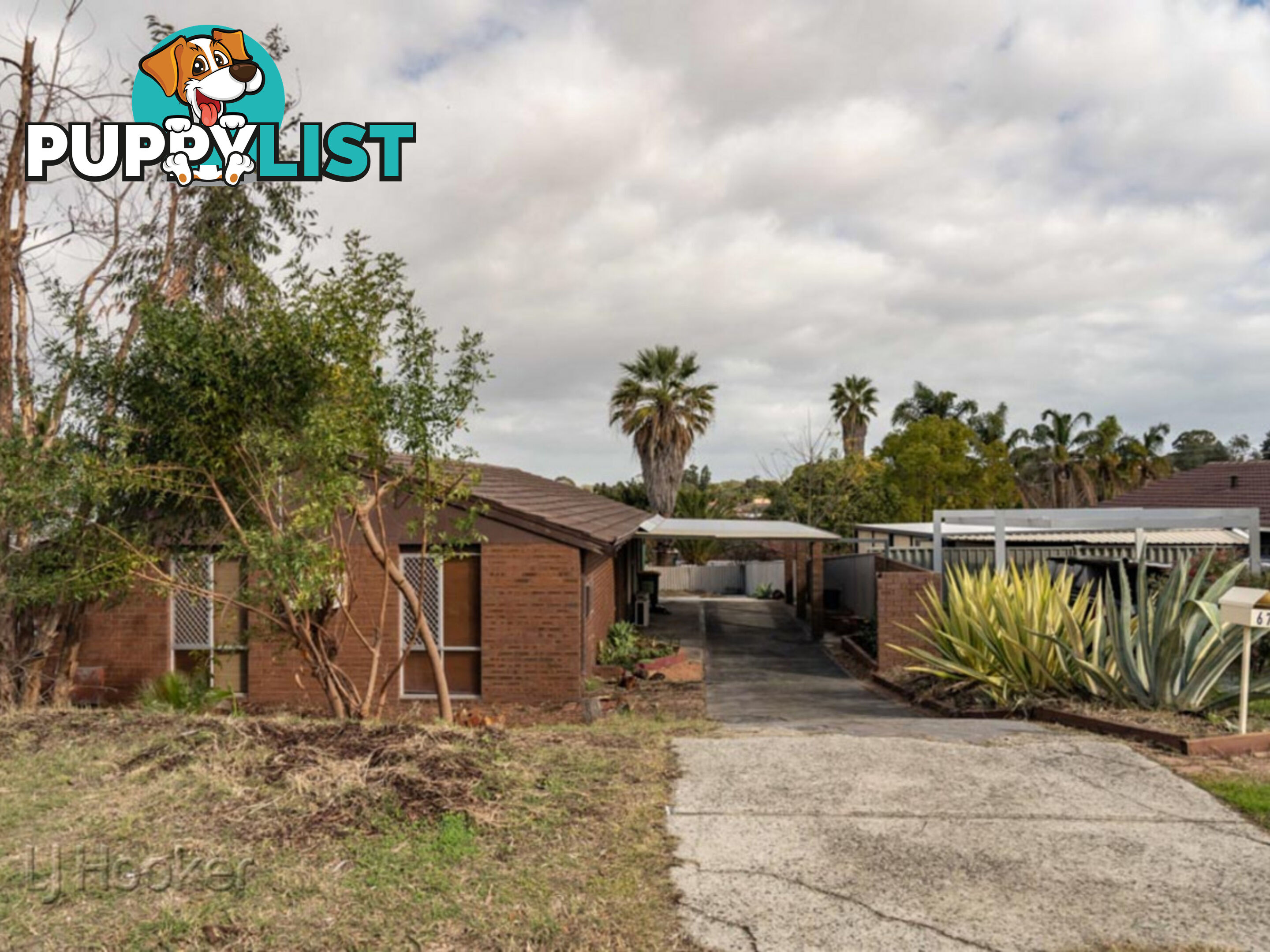 67 Gabell Way KOONDOOLA WA 6064