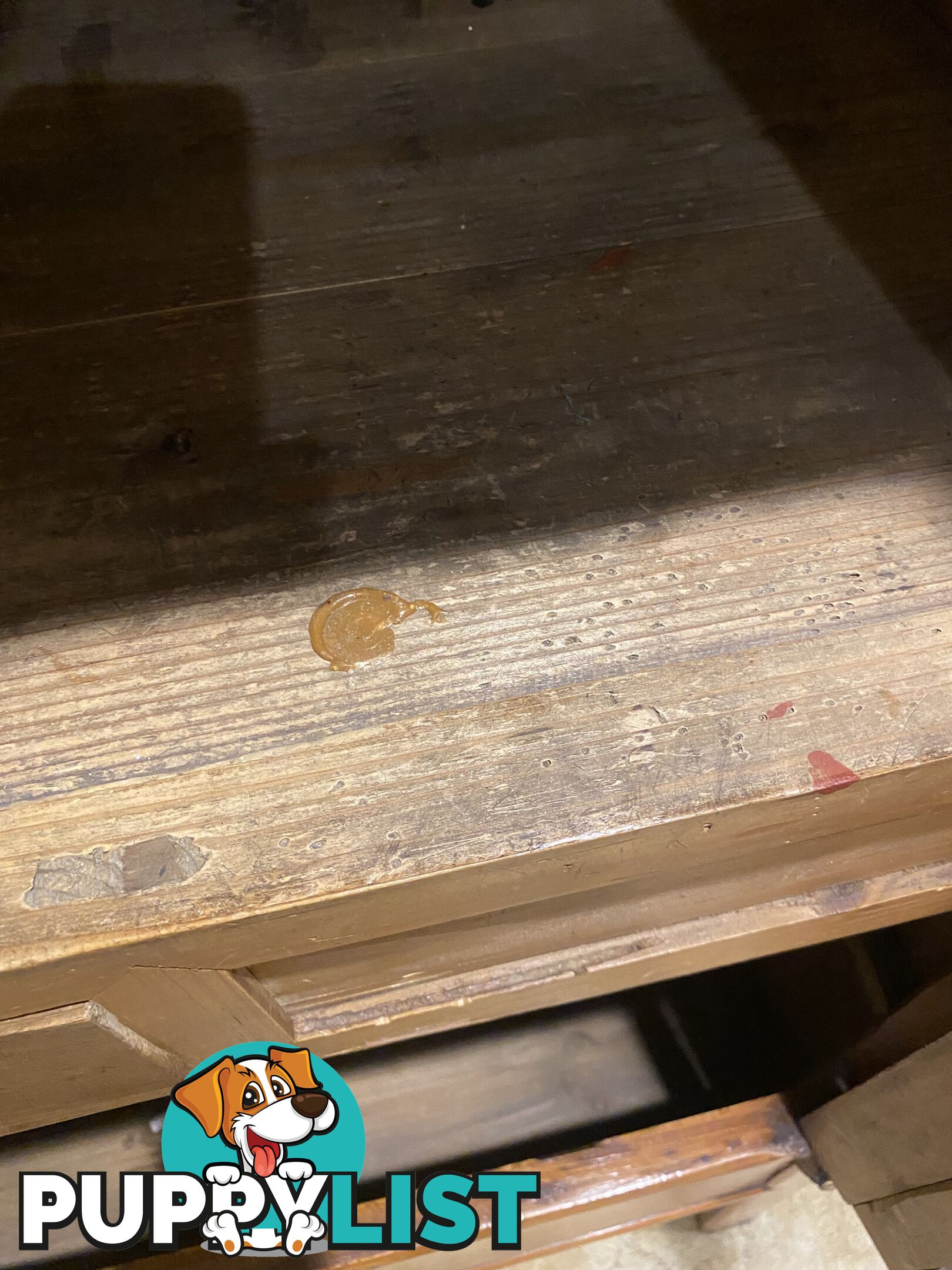 Genuine Chinese cabinet / armoire - Wooden