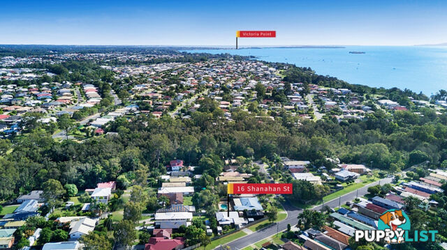 16 Shanahan Street REDLAND BAY QLD 4165