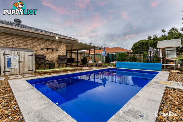 13 Ursula Court VICTORIA POINT QLD 4165