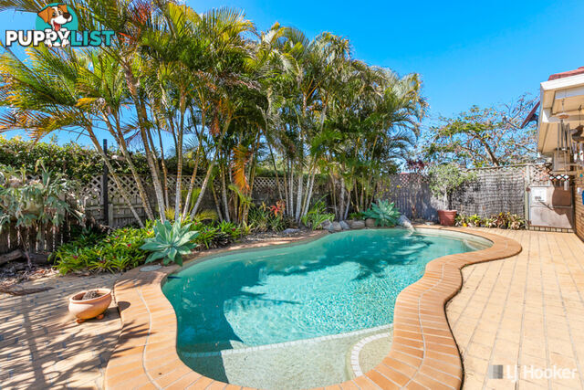 19 Achterberg Place VICTORIA POINT QLD 4165