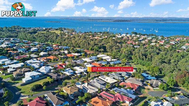 37 Attenborough Circuit REDLAND BAY QLD 4165