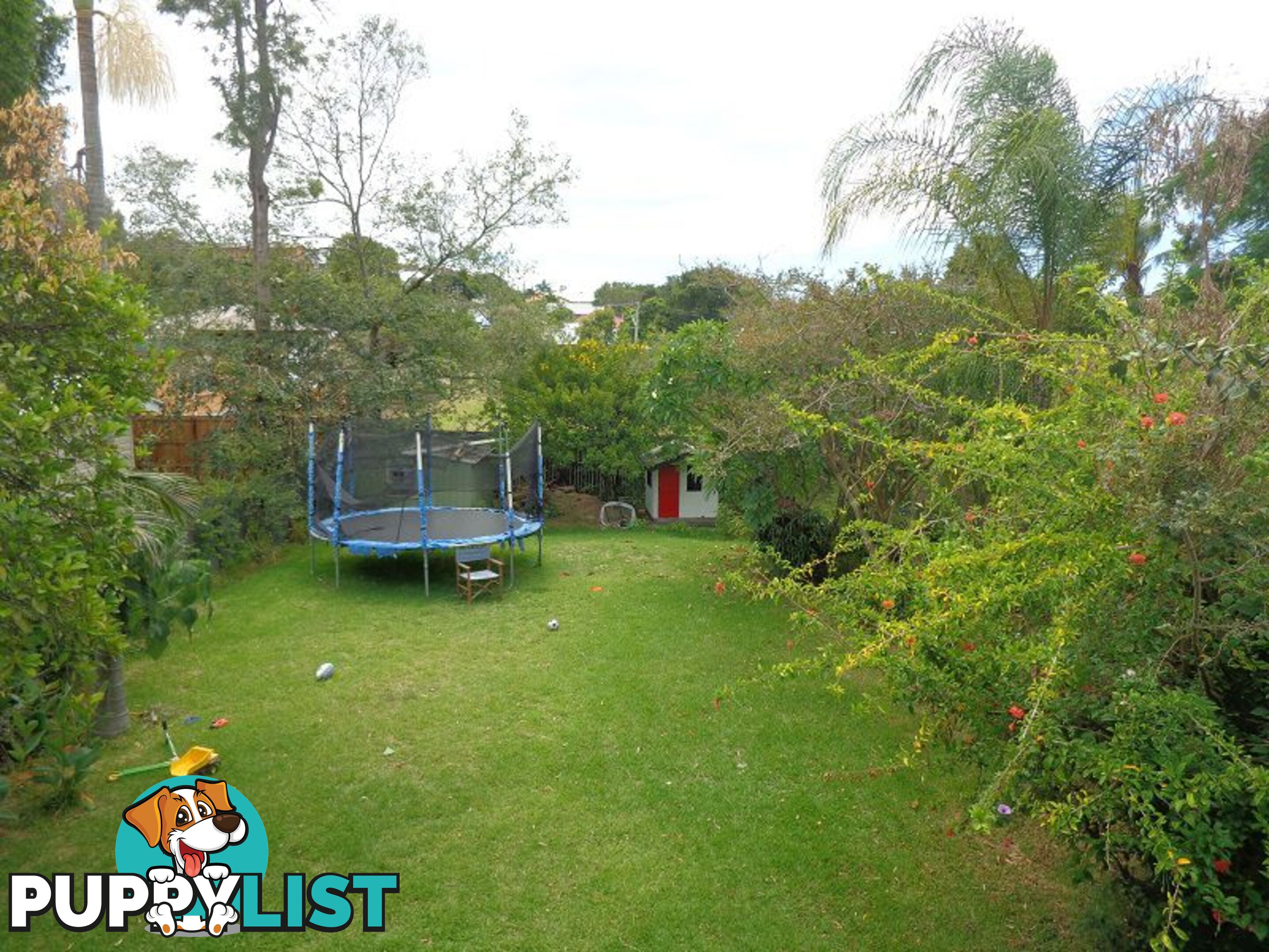 30 Somerset Street Windsor QLD 4030