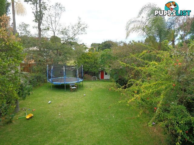 30 Somerset Street Windsor QLD 4030